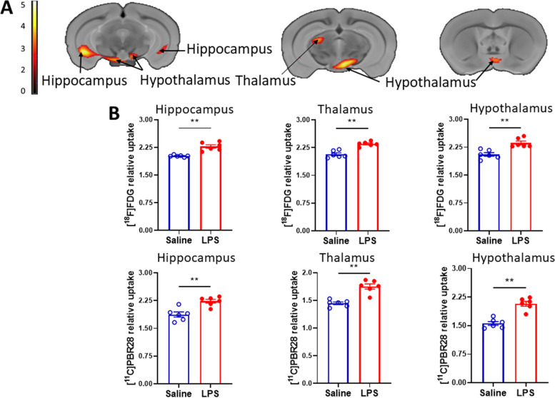 A dual tracer [<sup>11</sup>C]PBR28 and [<sup>18</sup>F]FDG microPET evaluation of neuroinflammation and brain energy metabolism in murine endotoxemia.