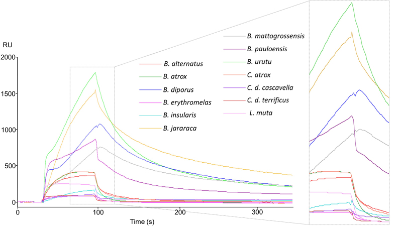 New multienzymatic complex formed between human cathepsin D and snake venom phospholipase A<sub>2</sub>.