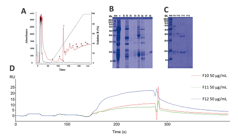 New multienzymatic complex formed between human cathepsin D and snake venom phospholipase A<sub>2</sub>.