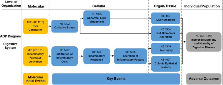 A comprehensive understanding of ambient particulate matter and its components on the adverse health effects based from epidemiological and laboratory evidence.