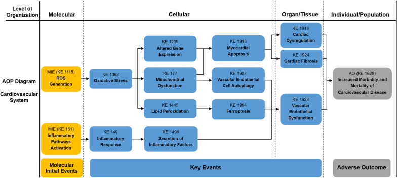 A comprehensive understanding of ambient particulate matter and its components on the adverse health effects based from epidemiological and laboratory evidence.