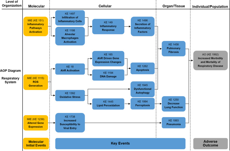 A comprehensive understanding of ambient particulate matter and its components on the adverse health effects based from epidemiological and laboratory evidence.