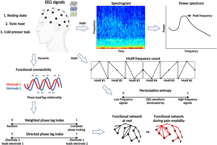 Electroencephalographic characteristics of children and adolescents with chronic musculoskeletal pain.