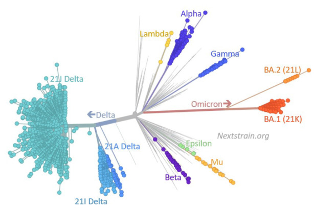 Global challenge with the SARS-CoV-2 omicron BA.2 (B.1.1.529.2) subvariant: Should we be concerned?