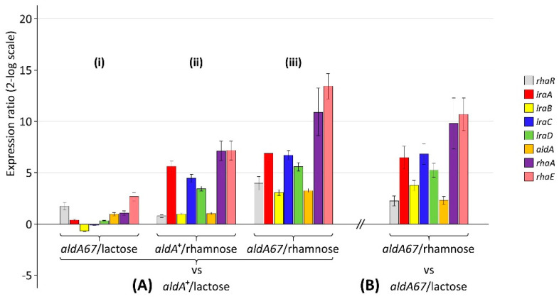 The Loss-of-Function Mutation <i>aldA67</i> Leads to Enhanced α-L-Rhamnosidase Production by <i>Aspergillus nidulans</i>.