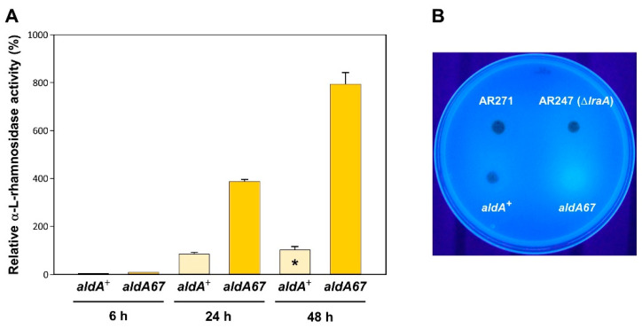 The Loss-of-Function Mutation <i>aldA67</i> Leads to Enhanced α-L-Rhamnosidase Production by <i>Aspergillus nidulans</i>.