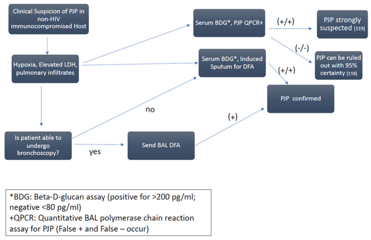 The Pathogenesis and Diagnosis of <i>Pneumocystis jiroveci</i> Pneumonia.