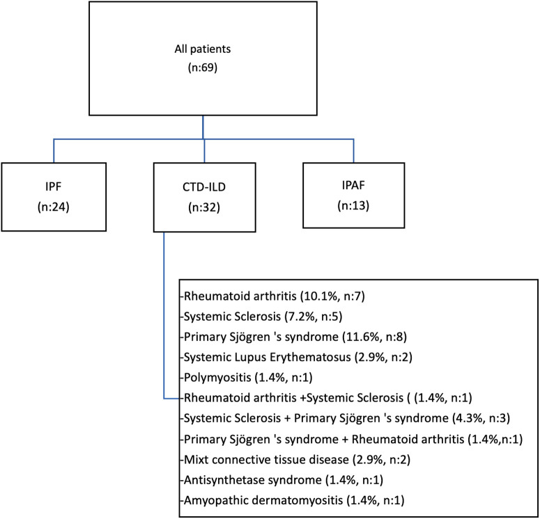 Clinical, Functional, and Prognostic Evaluation of Idiopathic Pulmonary Fibrosis, Connective Tissue Disease-Associated Interstitial Lung Disease, Interstitial Pneumonia with Autoimmune Features: A Single-Center Prospective Study.