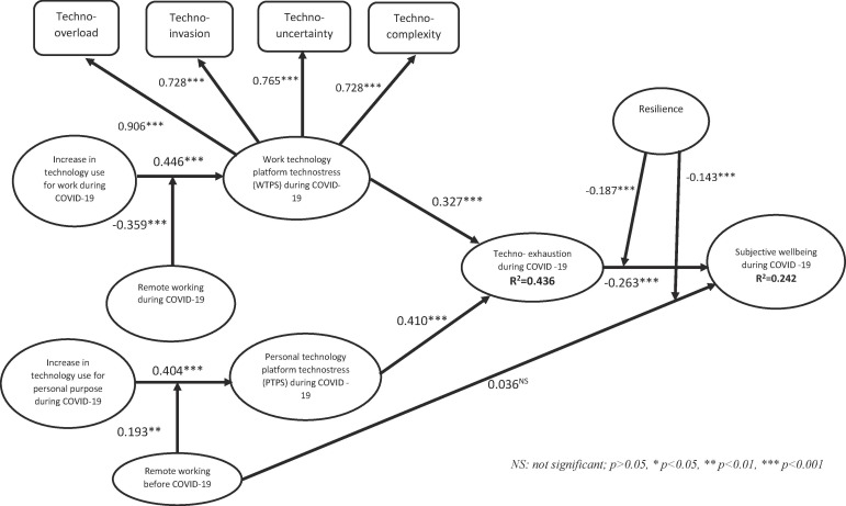 Enforced remote working: The impact of digital platform-induced stress and remote working experience on technology exhaustion and subjective wellbeing