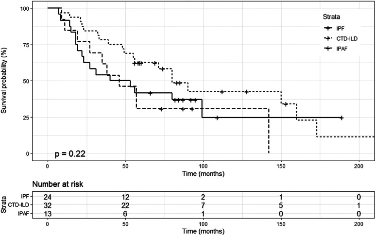 Clinical, Functional, and Prognostic Evaluation of Idiopathic Pulmonary Fibrosis, Connective Tissue Disease-Associated Interstitial Lung Disease, Interstitial Pneumonia with Autoimmune Features: A Single-Center Prospective Study.