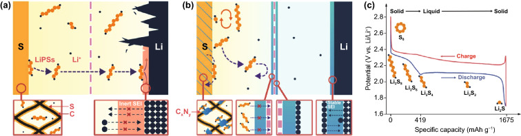 Carbon-Nitride-Based Materials for Advanced Lithium–Sulfur Batteries