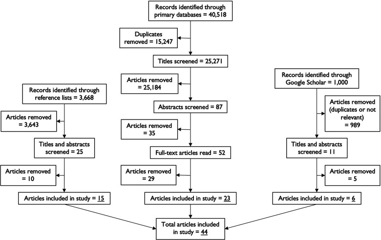 Immigrants Serving in Local Government: A Systematic Review and Meta-Analysis of Factors Affecting Candidacy and Election.