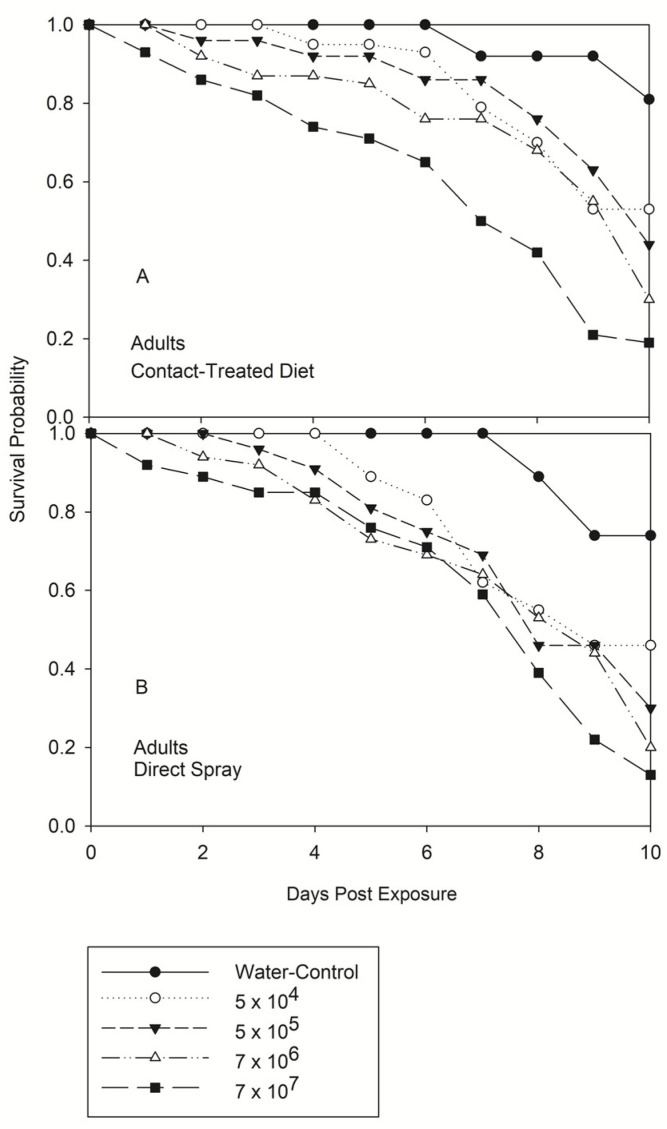 Lethal Concentration and Sporulation by Contact and Direct Spray of the Entomopathogenic Fungus <i>Beauveria bassiana</i> on Different Stages of <i>Nezara viridula</i> (Heteroptera: Pentatomidae).