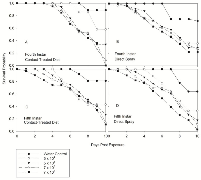 Lethal Concentration and Sporulation by Contact and Direct Spray of the Entomopathogenic Fungus <i>Beauveria bassiana</i> on Different Stages of <i>Nezara viridula</i> (Heteroptera: Pentatomidae).
