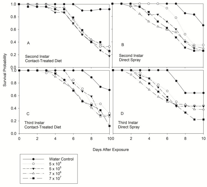 Lethal Concentration and Sporulation by Contact and Direct Spray of the Entomopathogenic Fungus <i>Beauveria bassiana</i> on Different Stages of <i>Nezara viridula</i> (Heteroptera: Pentatomidae).