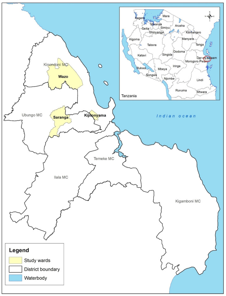 Farm costs and benefits of antimicrobial use reduction on broiler farms in Dar es Salaam, Tanzania.