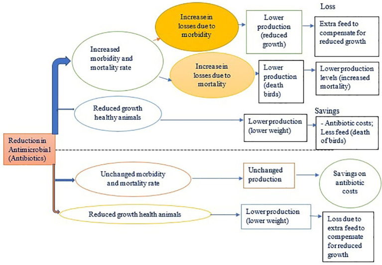 Farm costs and benefits of antimicrobial use reduction on broiler farms in Dar es Salaam, Tanzania.