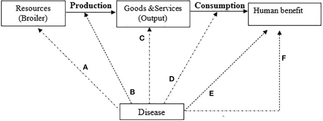 Farm costs and benefits of antimicrobial use reduction on broiler farms in Dar es Salaam, Tanzania.