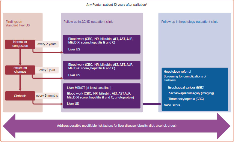 Fontan-associated Liver Disease in Adults: What a Cardiologist Needs to Know. A Comprehensive Review for Clinical Practitioners.