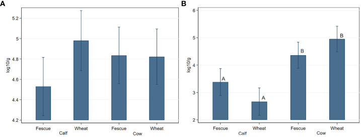 Effects of age and pasture type on the concentration and prevalence of tetracycline and macrolide resistant <i>Enterococcus</i> species in beef cow-calf production system.