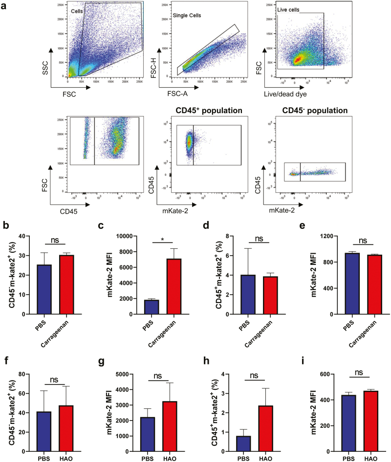 Revealing stromal and lymphoid sources of <i>Col3a1</i>-expression during inflammation using a novel reporter mouse.