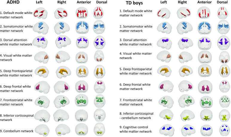 Investigation of white matter functional networks underlying different behavioral profiles in attention-deficit/hyperactivity disorder.