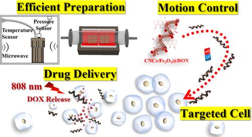 Efficient Preparation of a Magnetic Helical Carbon Nanomotor for Targeted Anticancer Drug Delivery