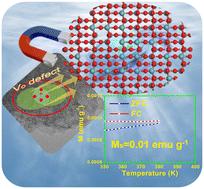 Supercritical CO2-induced room-temperature ferromagnetism in two-dimensional MoO3−x†