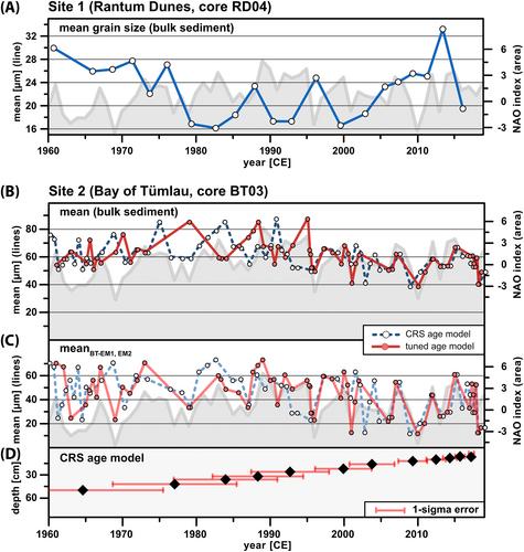 Determination and quantification of sedimentary processes in salt marshes using end-member modelling of grain-size data