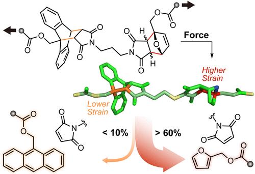 Competitive Activation Experiments Reveal Significantly Different Mechanochemical Reactivity of Furan–Maleimide and Anthracene–Maleimide Mechanophores