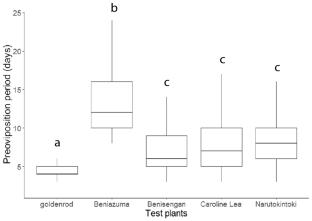 Different egg size in the chrysanthemum lace bug Corythucha marmorata (Hemiptera: Tingidae) in response to novel host plant cultivars