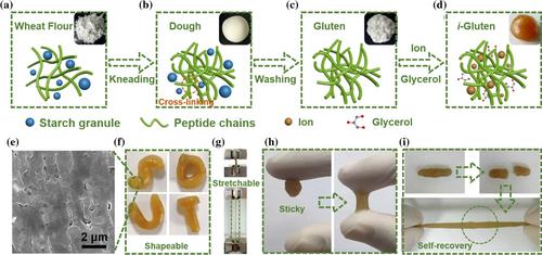 Affinity-Based Wearable Electrochemical Biosensors: Natural versus Biomimetic Receptors