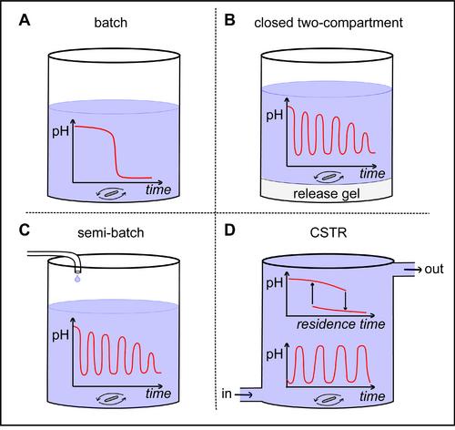 Functional Rhythmic Chemical Systems Governed by pH-Driven Kinetic Feedback