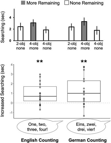 What aspects of counting help infants attend to numerosity?