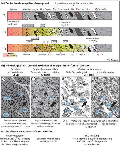 Preservation of mantle heterogeneities and serpentinization signature during antigorite dehydration: The example of the Bergell contact aureole