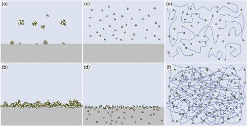 Advances in biomimetic collagen mineralisation and future approaches to bone tissue engineering