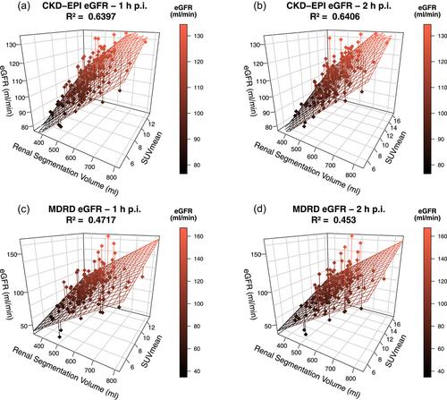 [18F]PSMA-1007 renal uptake parameters: Reproducibility and relationship to estimated glomerular filtration rate