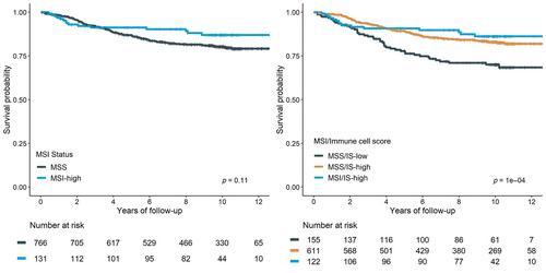 Validation of the prognostic value of CD3 and CD8 cell densities analogous to the Immunoscore® by stage and location of colorectal cancer: an independent patient cohort study