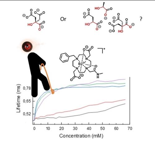 Does Charge Influence the Response in Oxyanion Binding Europium(III) Complexes?