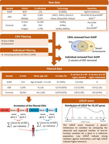 Copy Number Variation and Structural Genomic Findings in 116 Cases of Sudden Unexplained Death between 1 and 28 Months of Age