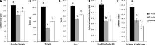 Differential Strigeid Infection Patterns in Male Morphotypes of Bluegill Sunfish (Lepomis macrochirus)