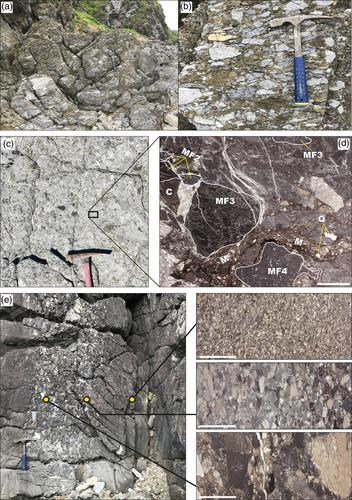 Sedimentology and biostratigraphy of the upper Triassic carbonates from the Shiriya cape, North Kitakami Belt, Japan