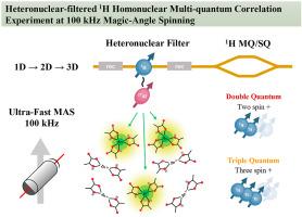 Heteronuclear-filtered 1H homonuclear multi-quantum correlation experiment at 100 kHz magic-angle spinning