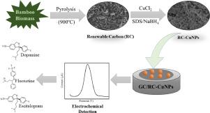 Copper nanostructures anchored on renewable carbon as electrochemical platform for the detection of dopamine, fluoxetine and escitalopram