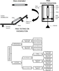 Characterization of pneumatic muscle actuators and their implementation on an elbow exoskeleton with a novel hinge design