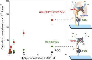 Bioelectrocatalytic activity of reconstituted peroxidase on hemin-terminated PQQ-modified electrodes