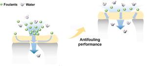 Porous substrate affects fouling propensity of thin-film composite nanofiltration membranes