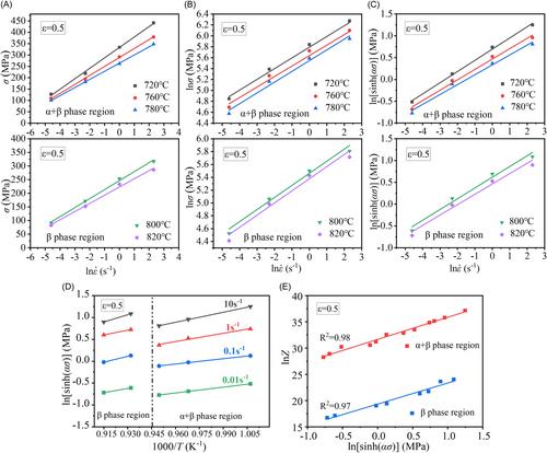 Dynamic mechanical behavior, microstructure evolution, and restoration mechanism of a β-Ti alloy during hot compression deformation