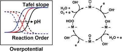 Calculation of the Tafel slope and reaction order of the oxygen evolution reaction between pH 12 and pH 14 for the adsorbate mechanism