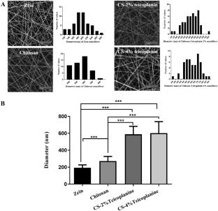 Fabrication of Zein-Chitosan-Zein Sandwich-Like Nanofibers Containing Teicoplanin as a Local Antibacterial Drug Delivery System